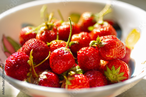 strawberries in a white plate in the sunshine closeup