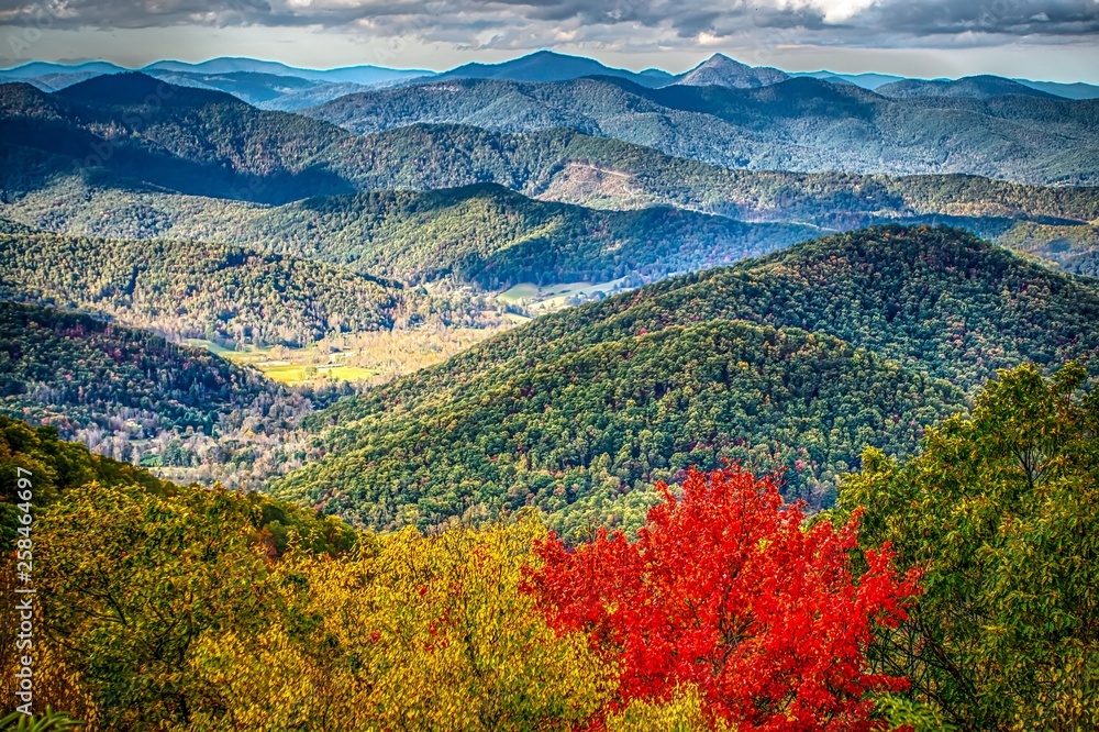 Fototapeta blue ridge and smoky mountains changing color in fall