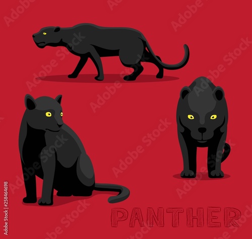Panthera Panther Cartoon Vector Illustration