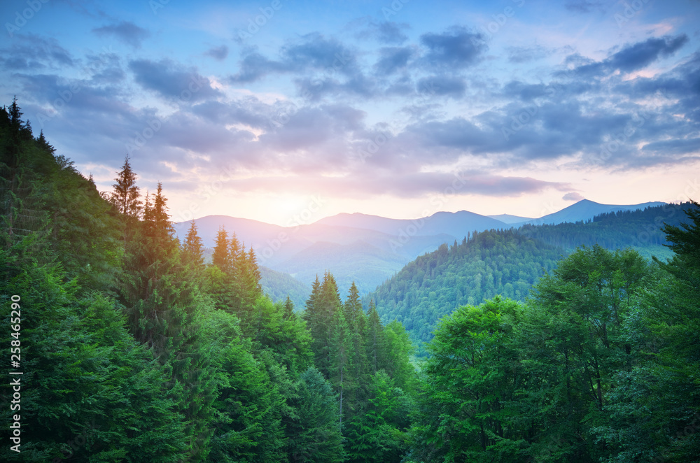 Aerial green mountains hills