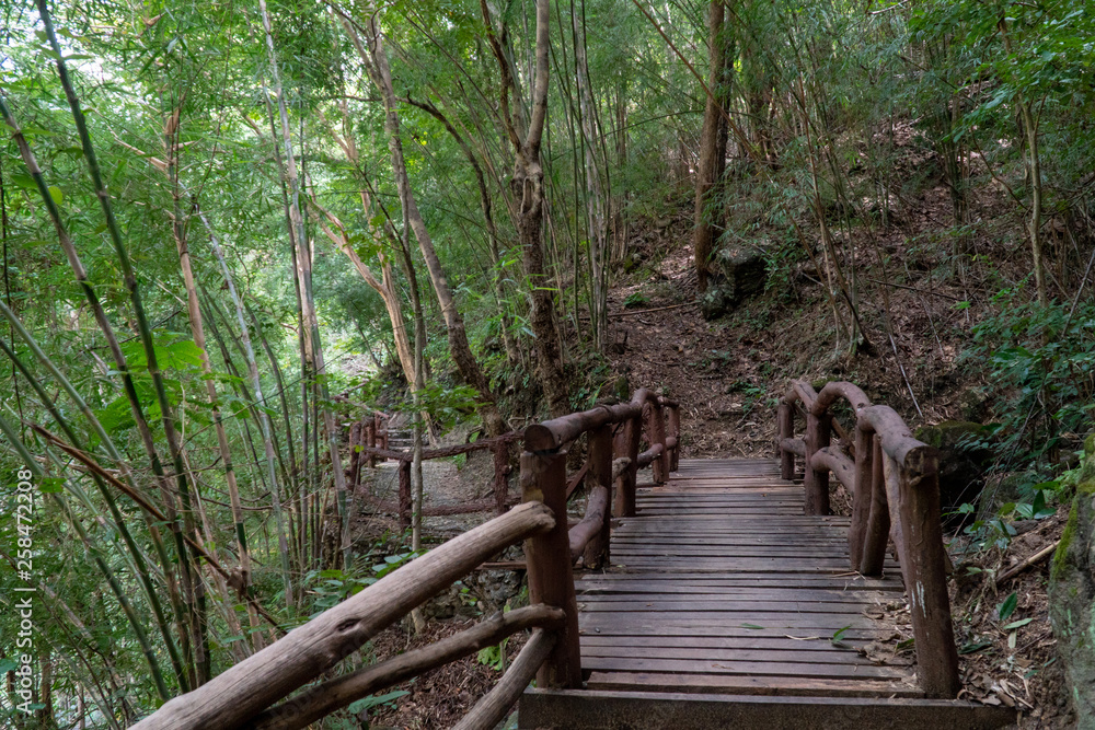 The wooden bridge walkway in rainforest mountain. The wooden bridge walkway in rainforest mountain.