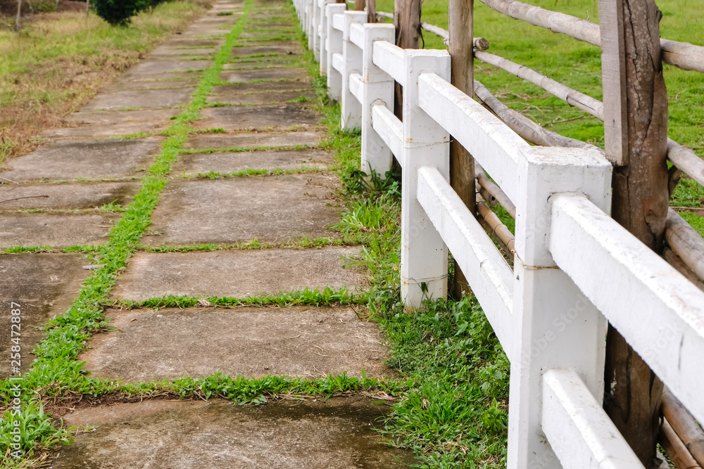  Medium shot of white fences with concrete pathways on grass in old farm 