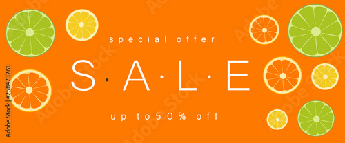 Summer sale background vector illustration