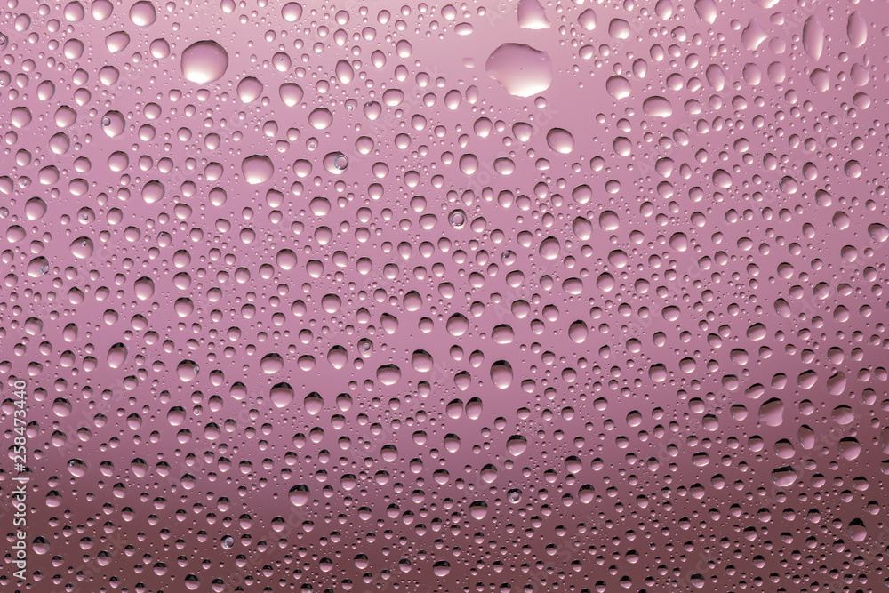 ガラスに付いた水滴 背景ピンク ガラスに付いた水滴 背景ピンク