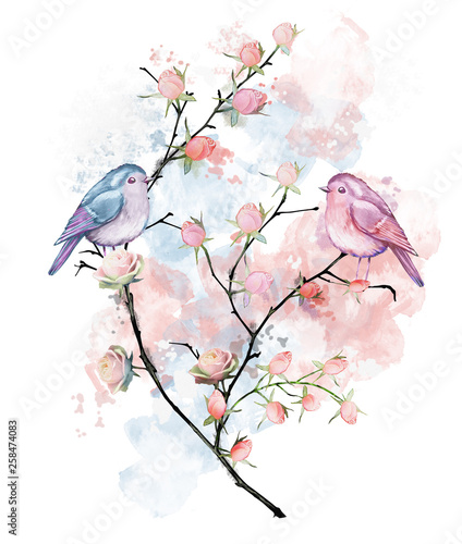 Original, designer print. Watercolor, illustration.A couple in love. Birds on a branch. Roses. Gentle, pink, blue. © Erenai
