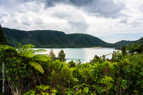 The Blue Lake, Rotorua photo