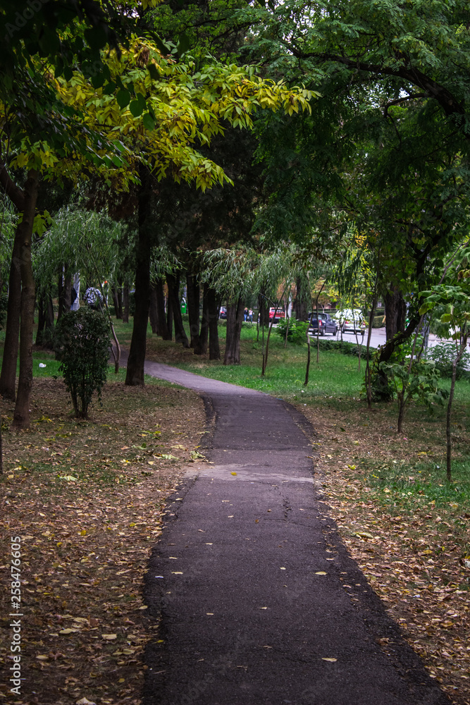 alley in the park alley in the park