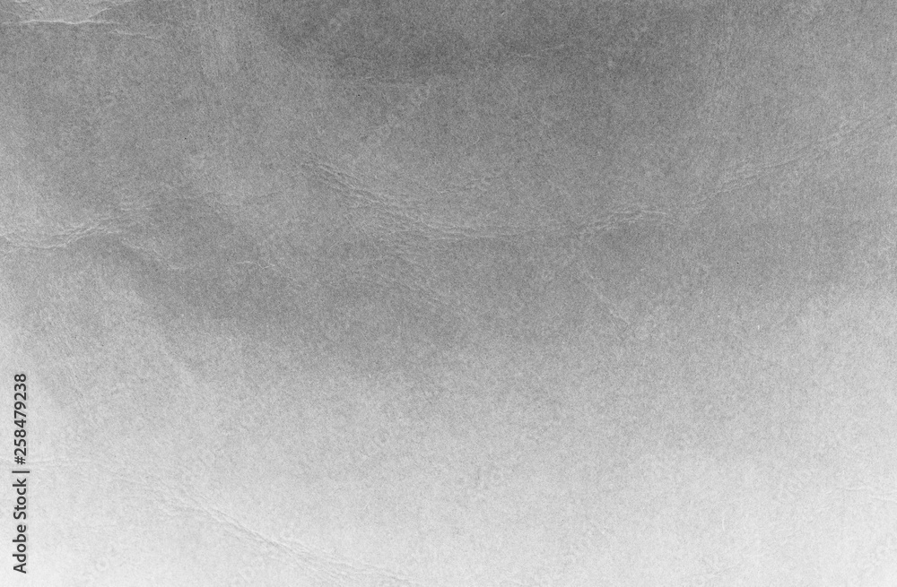 Fototapeta premium Light gray cardboard texture, background, abstraction. Paper space for text.