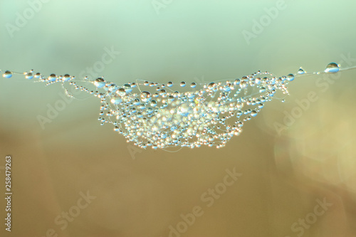 Close-up of abstract drops on a spider web with variable focus and blurred background in the rays of the rising sun. Blur and soft focus. photo