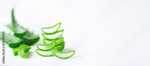 aloe vera slices on white background. slices of medicinal aloe vera closeup. copy space. place for text.