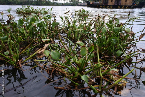 Backwaters