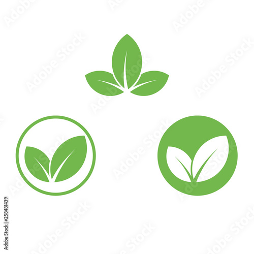 Vegan icon green leaf label template for vegan or vegetarian food package design. Isolated green leaf icon for vegetarian bio nutrition and healthy diet or vegan restaurant menu symbols set
