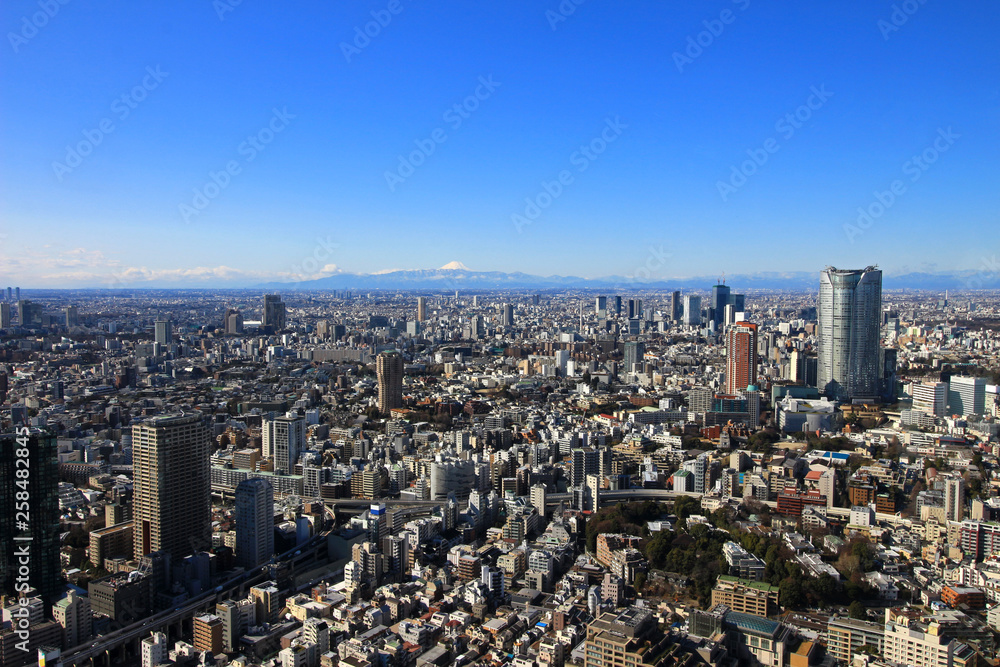 Townscape of Tokyo and Mt. Fuji