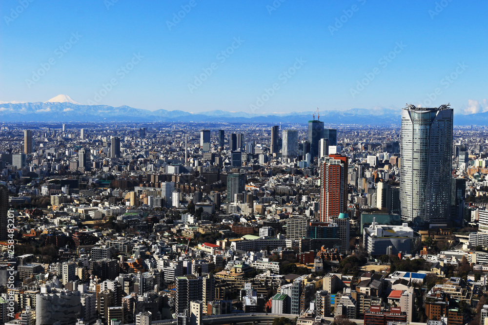 Fototapeta premium Townscape of Tokyo and Mt. Fuji