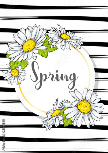 Spring Sale flyer background with beautiful flower. Vector illustration. Camomile.