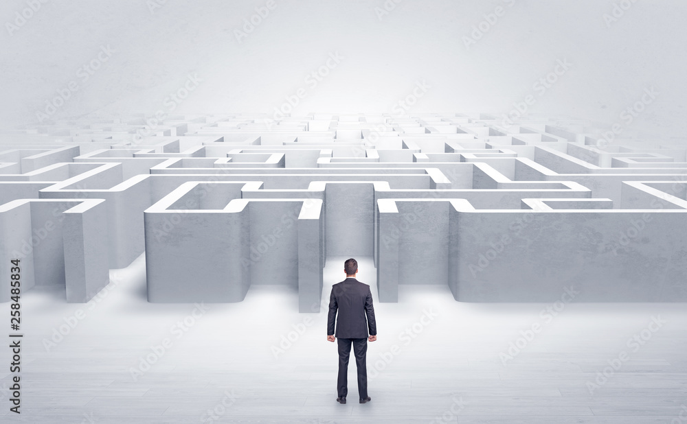 Businessman trying to decide which entrance to choose at the maze
Businessman trying to decide which entrance to choose at the maze