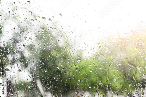 rain drop on glass with blur tree background