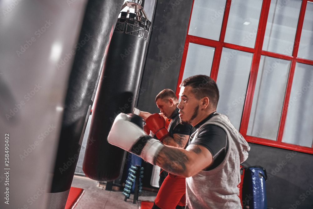 Working out. Young tattooed athletes in sports clothing training hard on heavy punch bags before big fight in boxing gym