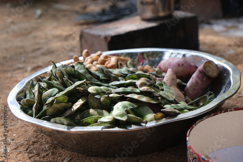 Indian festival Pongal, makara sankranti, sankranti