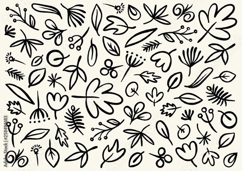 Doodle vector hand drawn pattern with black leafs and flowers. Nature outline background floral pattern © Vladimir Didenko