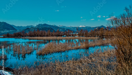 Lake mountain view