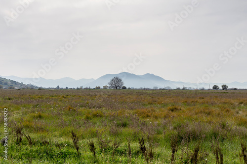 Foggy morning in the mountains (mountain Achaea, Peloponnese, Greece) photo