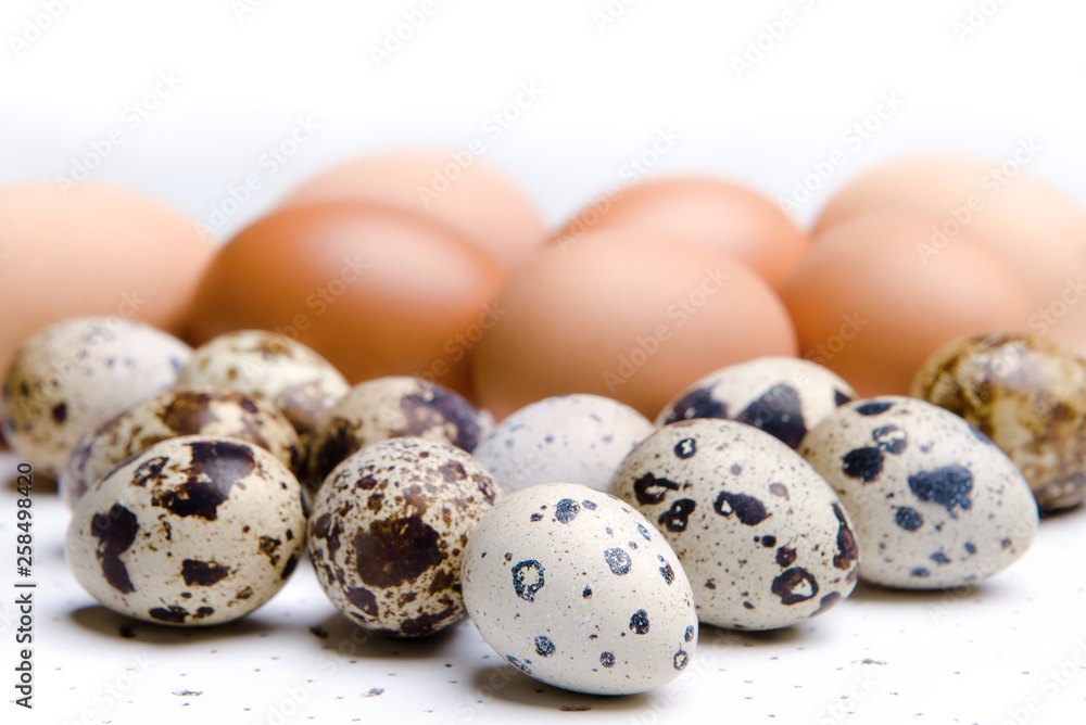 Quail and chicken eggs for Easter. White background with black dots. Quail and chicken eggs for Easter. White background with black dots.