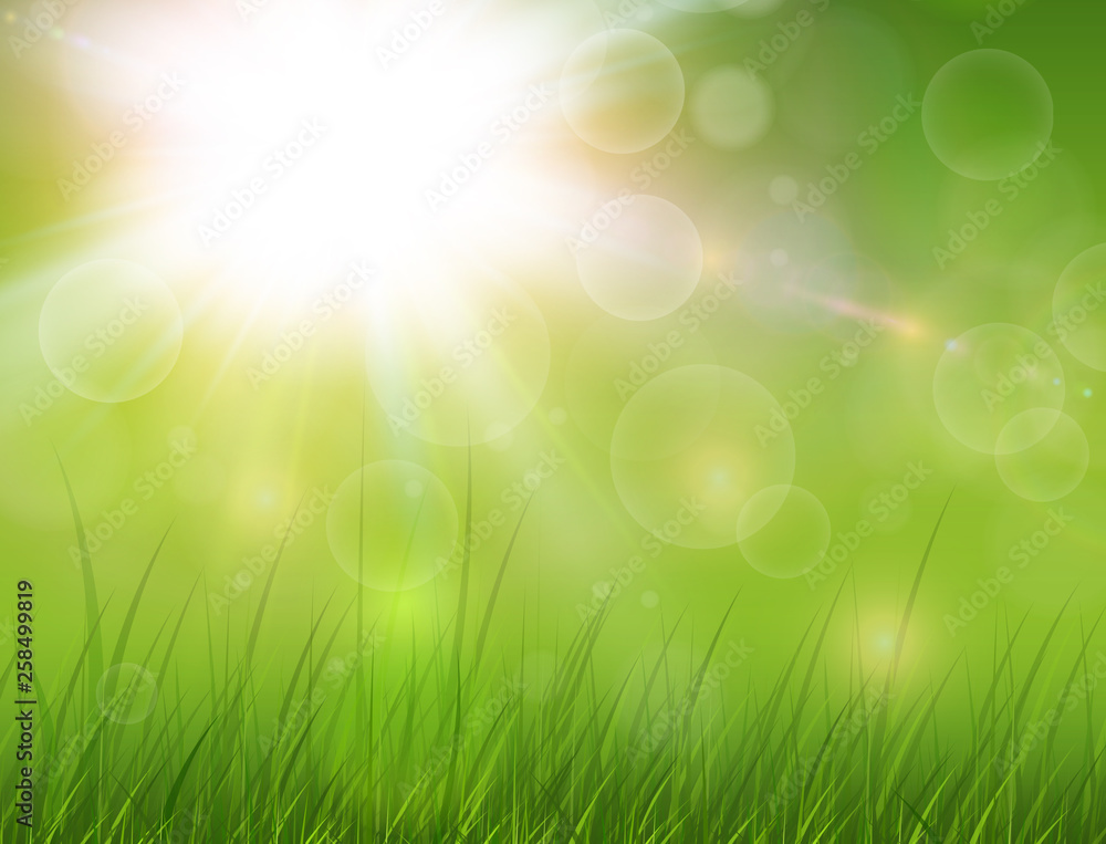 Green nature background, sunny with grass as spring vector background.