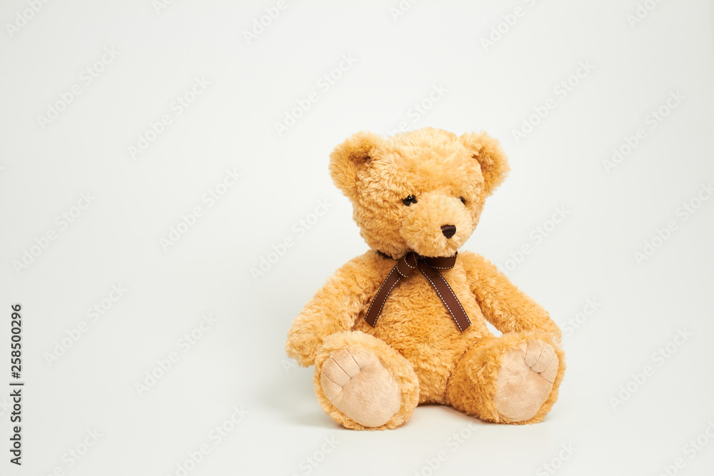 Obraz premium Teddy bear isolated on white background.