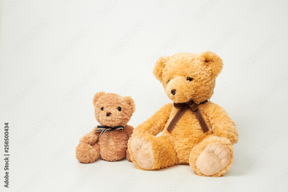 Fototapeta premium Teddy bear isolated on white background.