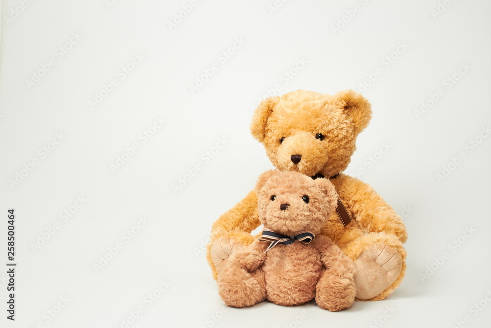 Obraz premium Teddy bear isolated on white background.