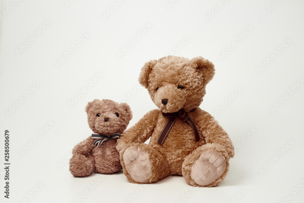 Fototapeta premium Teddy bear isolated on white background.