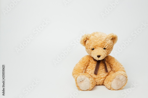 Teddy bear isolated on white background.