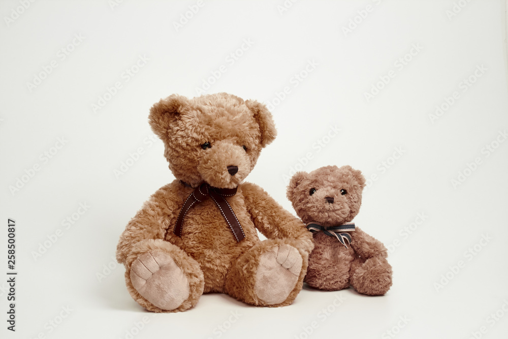 Fototapeta premium Teddy bear isolated on white background.