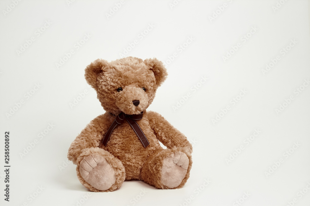 Obraz premium Teddy bear isolated on white background.