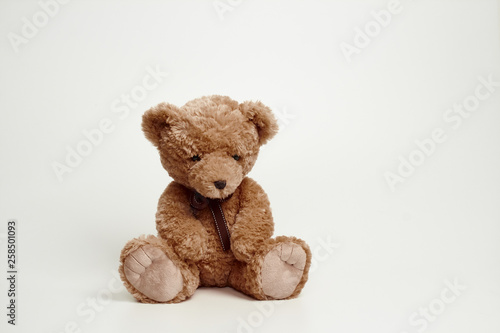 Teddy bear isolated on white background. © Leejeongjin