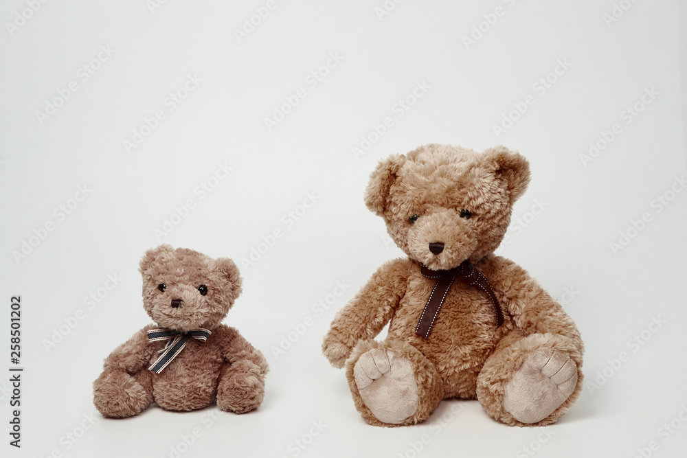 Obraz premium Teddy bear isolated on white background.