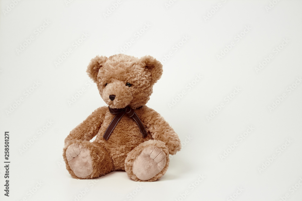 Fototapeta premium Teddy bear isolated on white background.