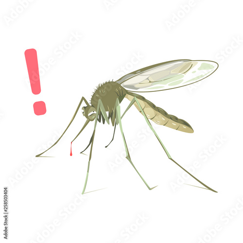 Mosquito cartoon vector illustration