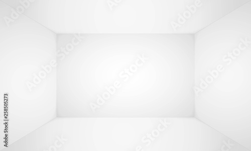 Empty white room. Empty blank room, wall and floor interior background. Abstract 3d interior. Template for you design.