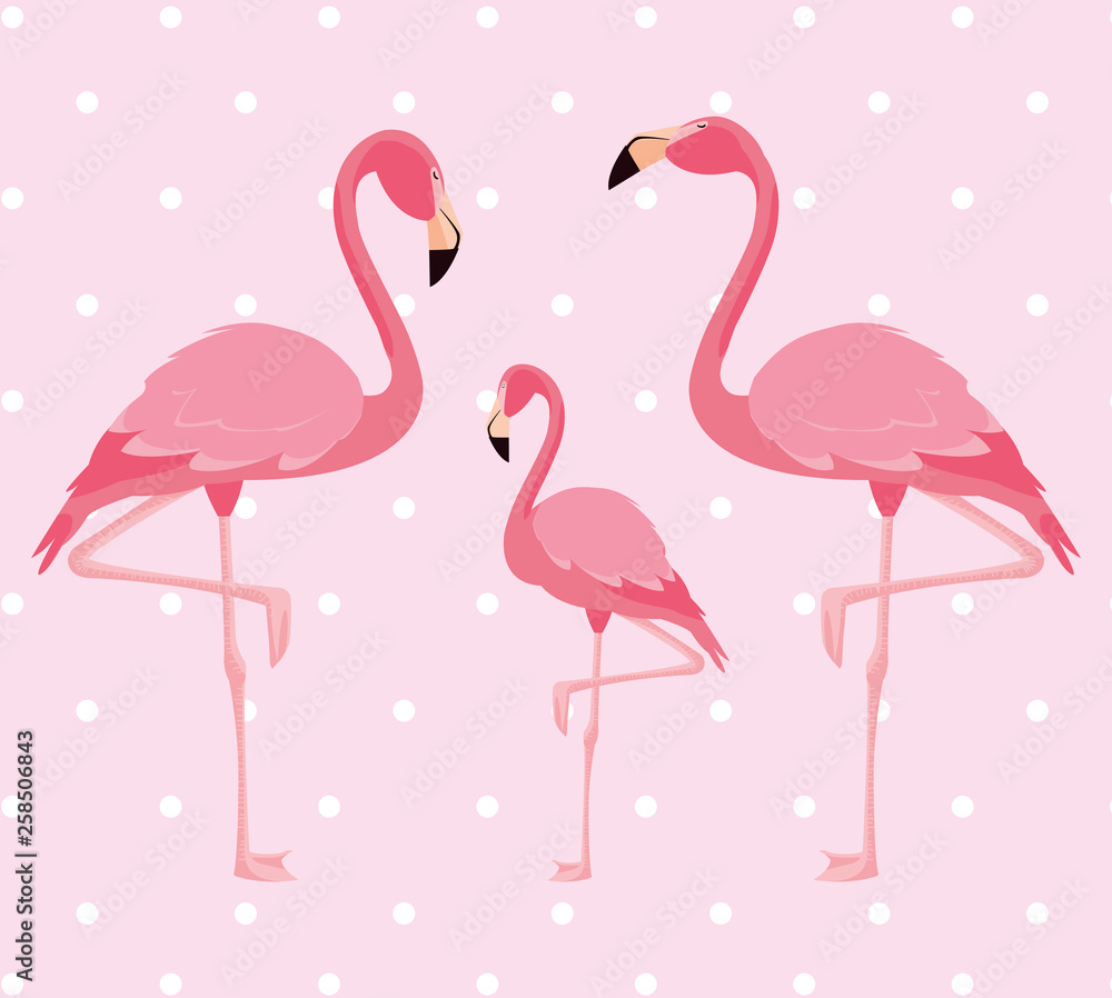 Obraz premium elegant flamingo birds family dotted background
