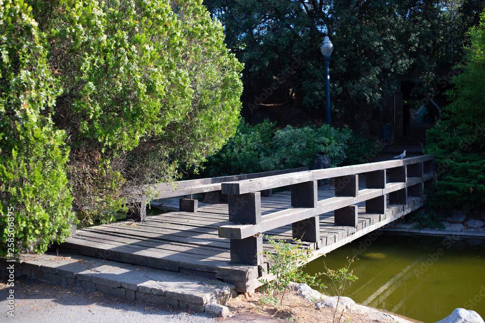 Wooden bridge