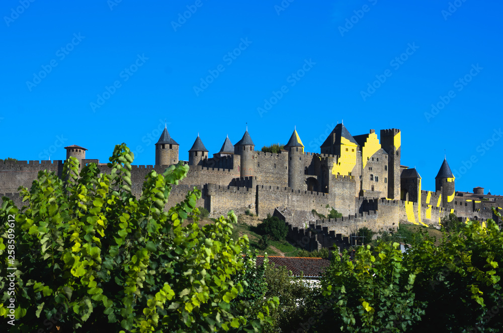 Magnificent medieval city of Carcassonne from south of France