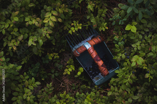 Old blueberry picking tool