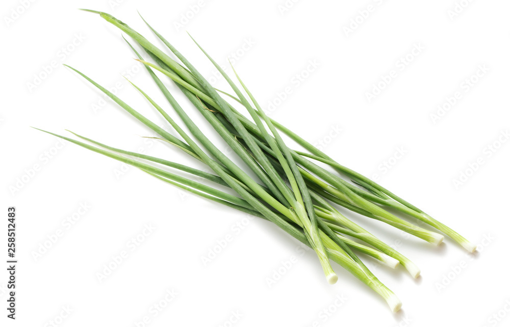 green onion isolated on white background green onion isolated on white background