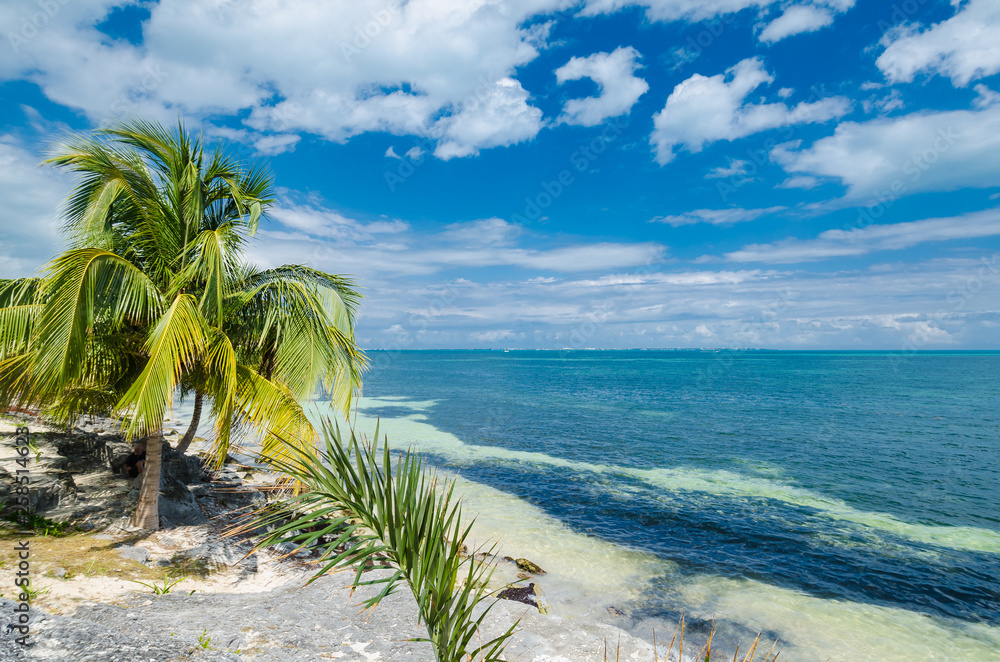 rocky beach at Mexican Caribbean rocky beach at Mexican Caribbean