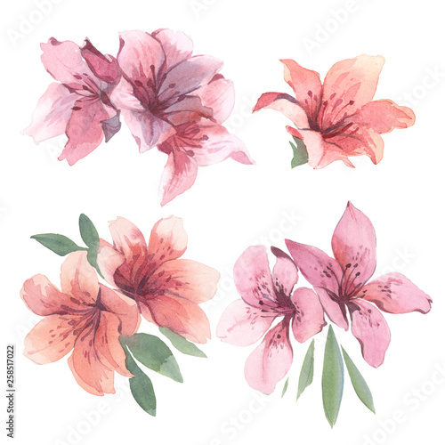 Watercolor set of tropical flower and leaves on white background