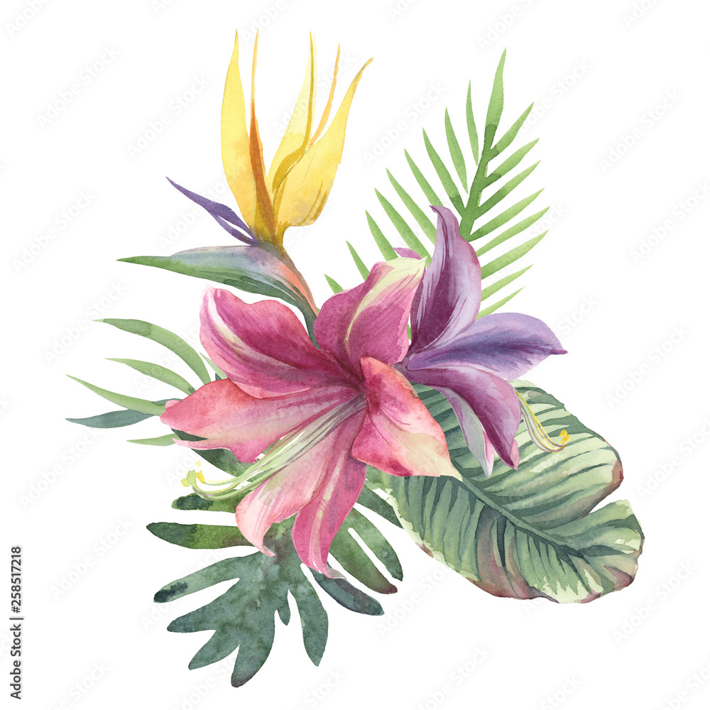 Watercolor bouquet of tropical flowers and leaves on white background