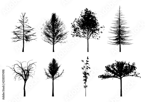Eight trees shilouettes in black and white. Vector Illustration