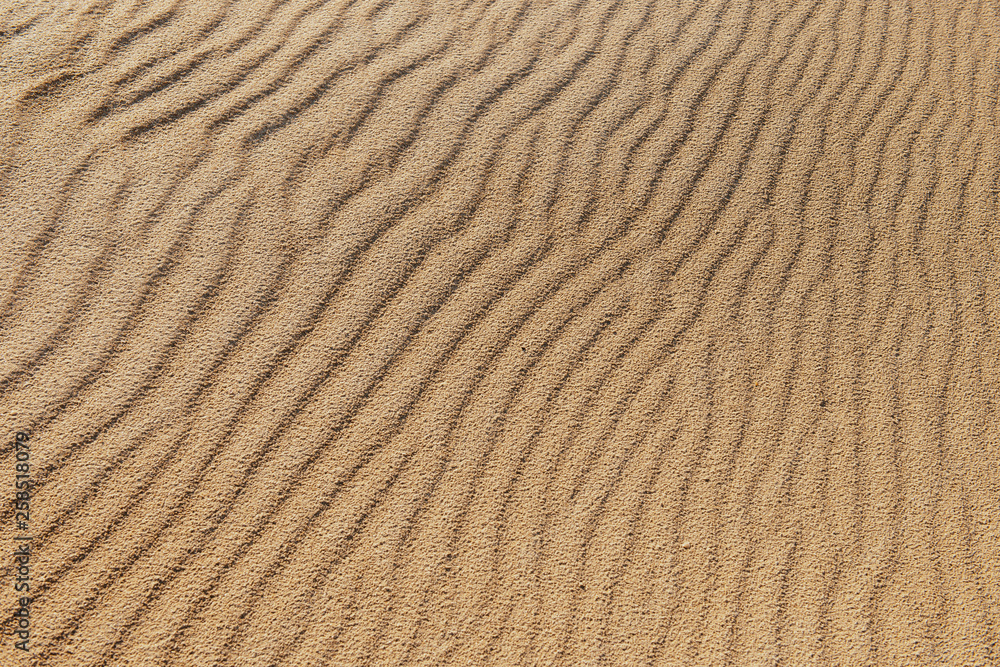 sand texture sand texture